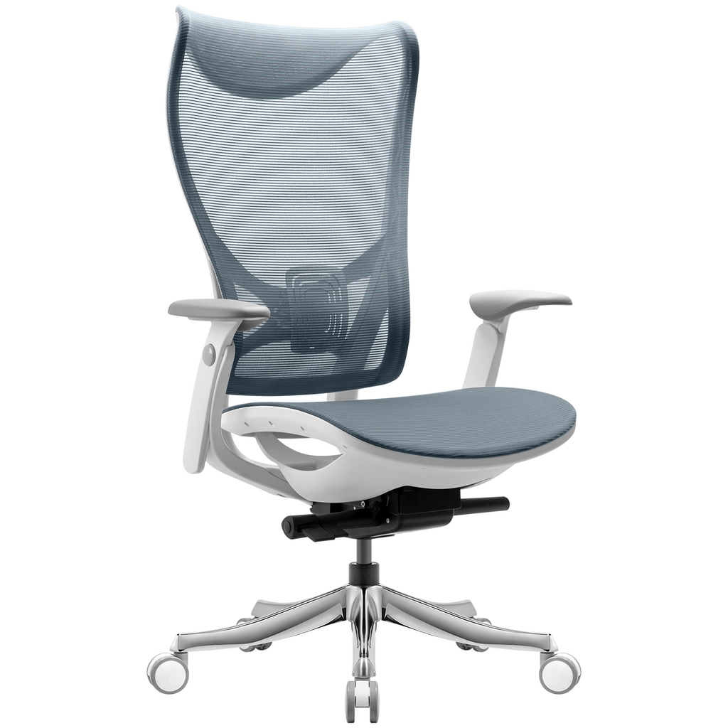 Homall Ergonomic Excessive-Again Workplace Chair for Laptop Use with Adjustable Armrests, Lumbar Assist, and Seat Cushion